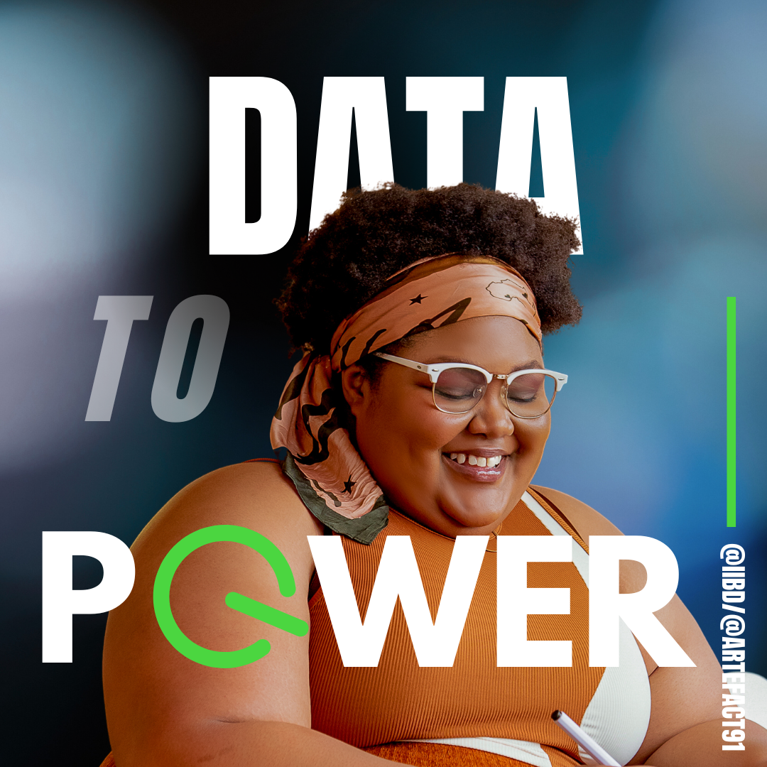 Data to Power — capacity-building for Black-led organizations. IIBD / Artefact91